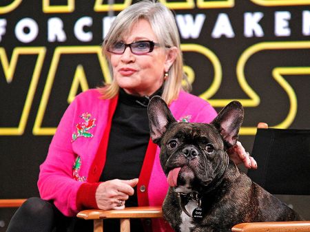 A picture of Carrie Fisher and her therapy dog, Gary
